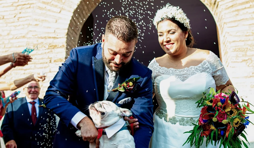 Boda en Pina de Ebro