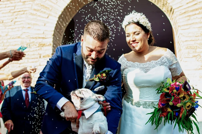 Boda en Pina de Ebro