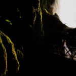 Postboda en Monasterio de Piedra