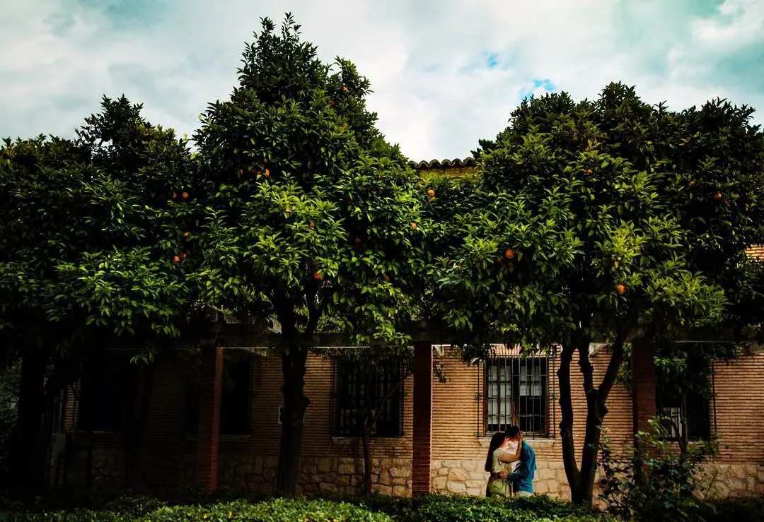 preboda en parque grande Zaragoza